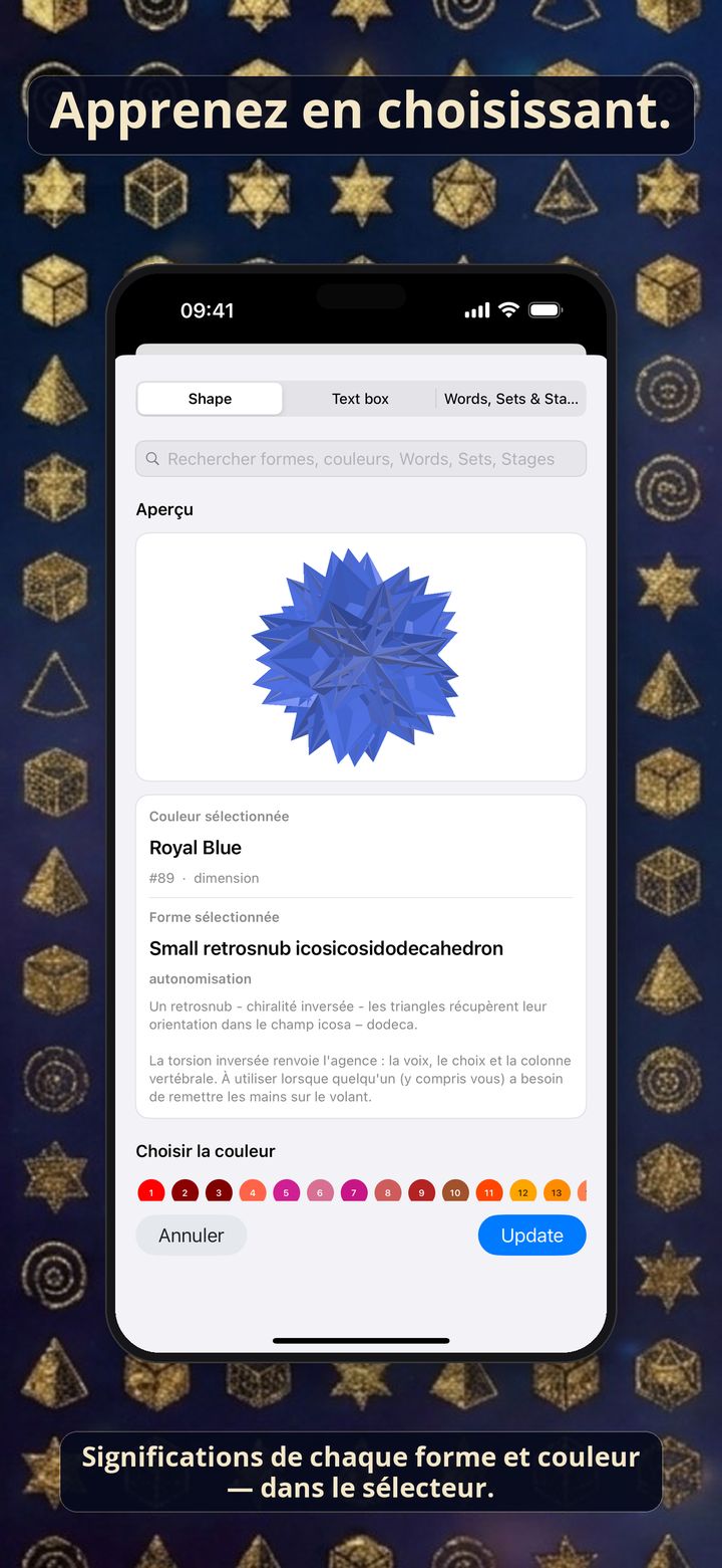 Capture iPhone du sélecteur avec significations de forme et de couleur.